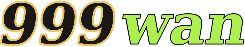 999wan logo